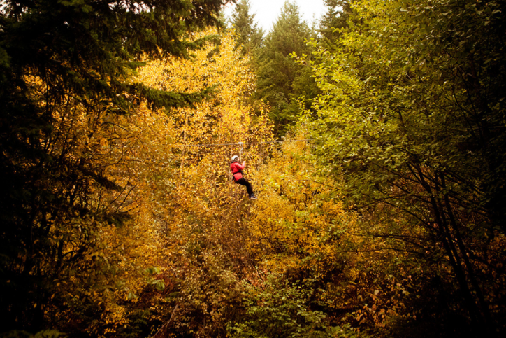 Whistler in the Fall