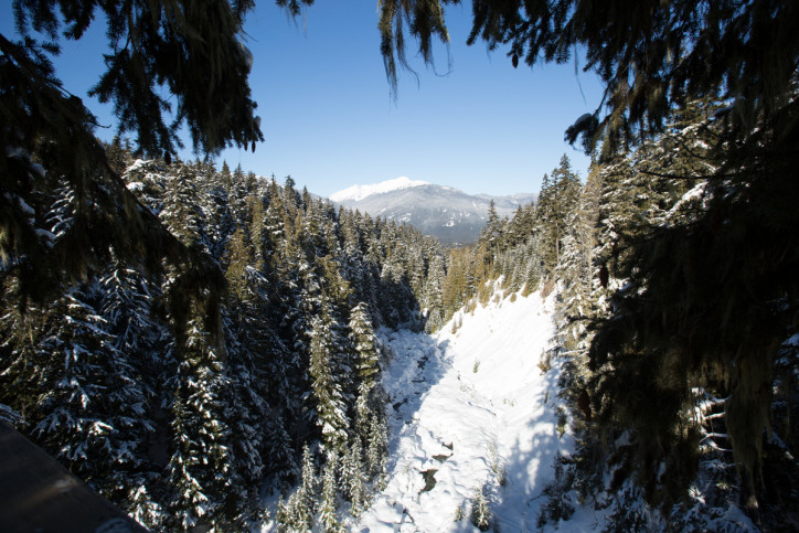 MEET THE 2022 WINTER BRAND AMABASSADORS