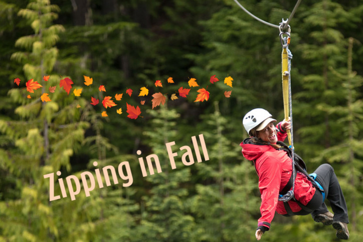 Fall Season @ Ziptrek