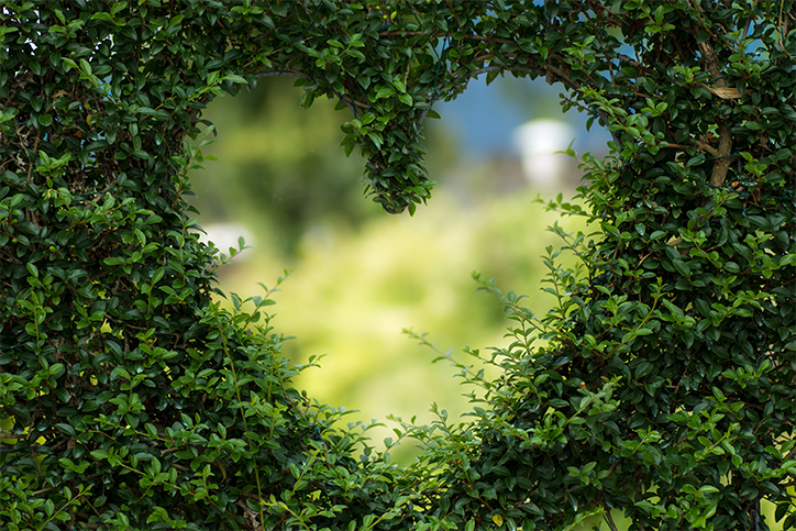 5 Resolutions for a Greener New Year