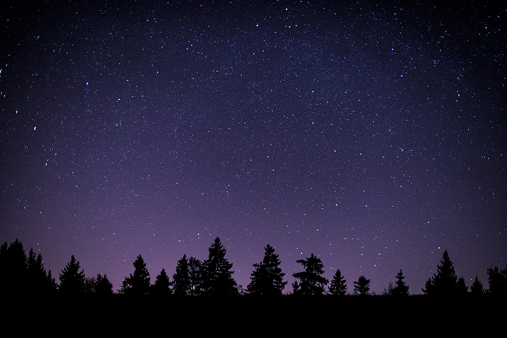 Creature Feature: More Things that go Bump in the Night
