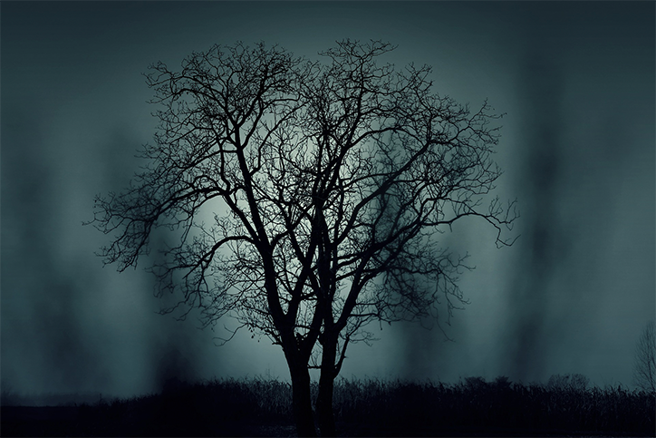 3 Spooky Stops off the Sea-to-Sky Highway