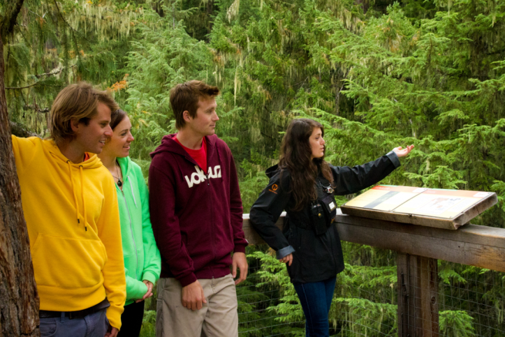 Get to Know the Pacific Coastal Temperate Rainforest