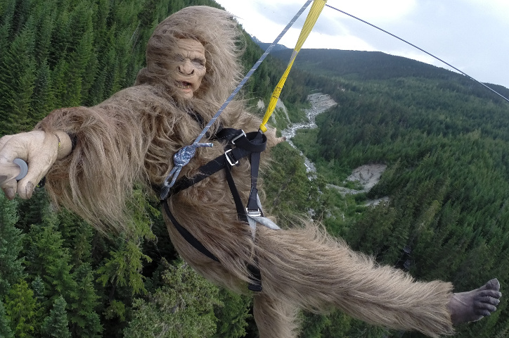 Newest Zipline Named