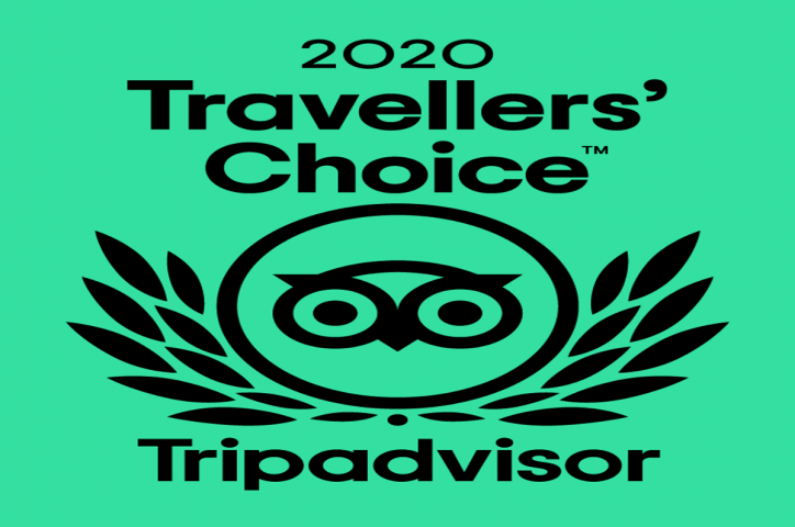 Ziptrek Wins Traveller's Choice Award!