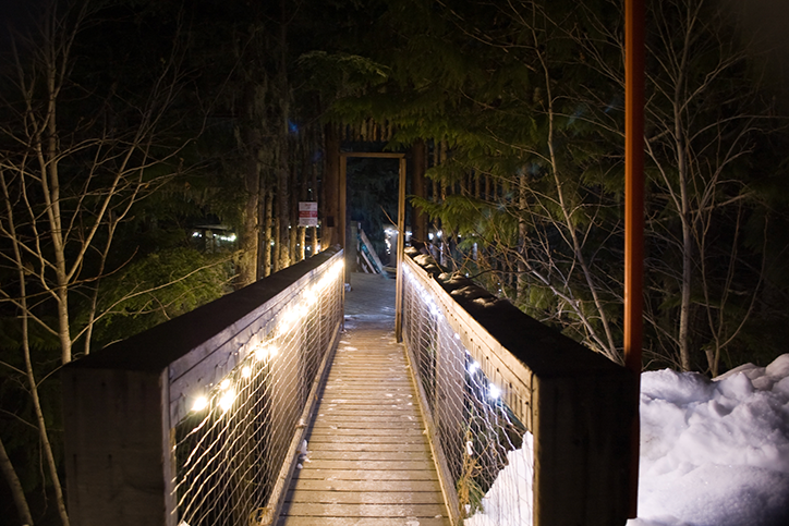  4 Reasons To Go Ziptrekking At Twilight