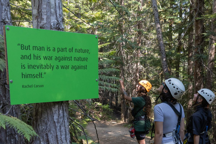 Discovering Wellness in Whistler