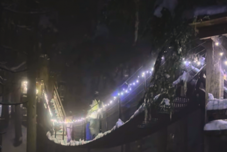 Experience the Magic of Festive Lights in Whistler