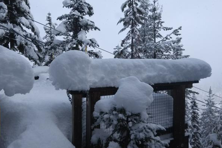 Meet the 2018 Winter Brand Ambassadors