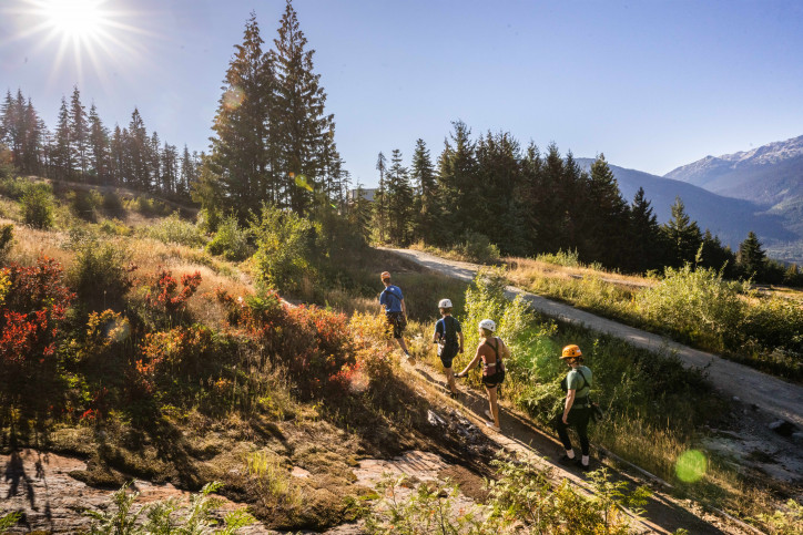 Top 5 Summer Activities in Whistler: The Ultimate Adventure Guide