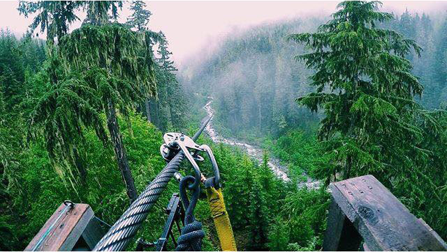 fall ziplining whistler3