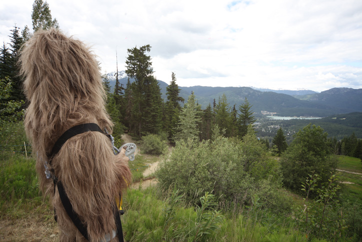 The Sasquatch® is Coming! Are you Ready?