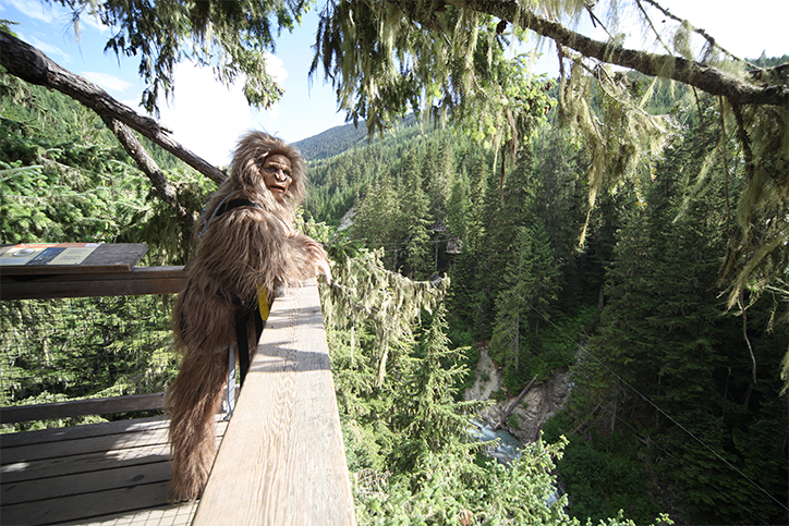 The Sasquatch® 2018: Two Ways to Play