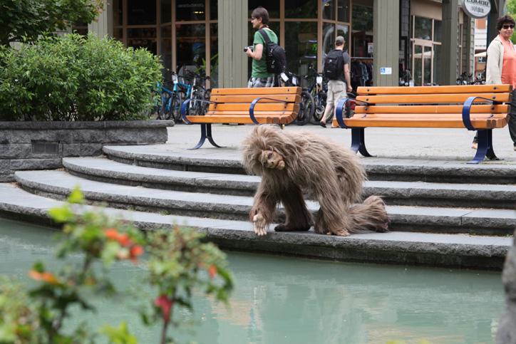 sasquatch whistler village