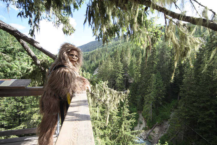 The Sasquatch: Myth and Legend I Ziptrek Ecotours - The Official ...