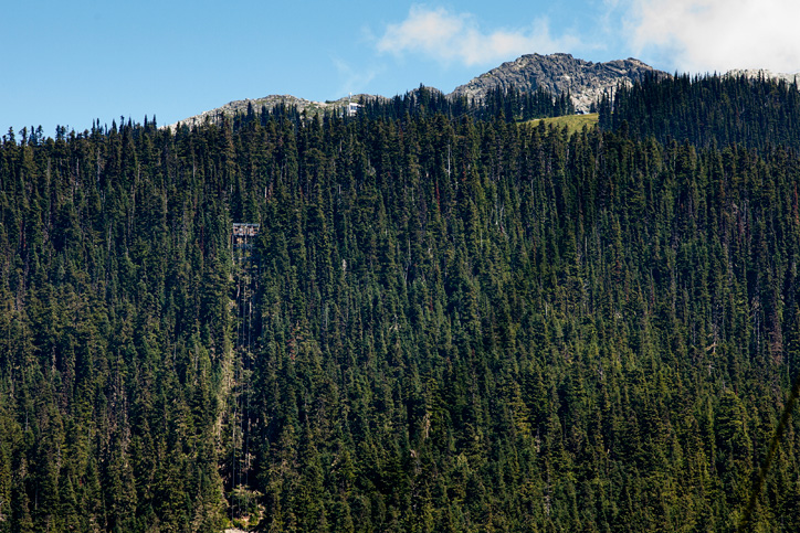 the sasquatch steepness