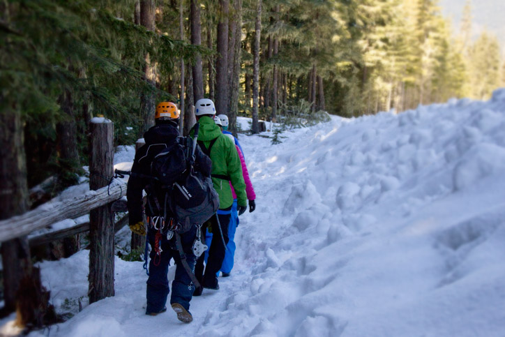 Introducing the Ziptrek Brand Ambassadors