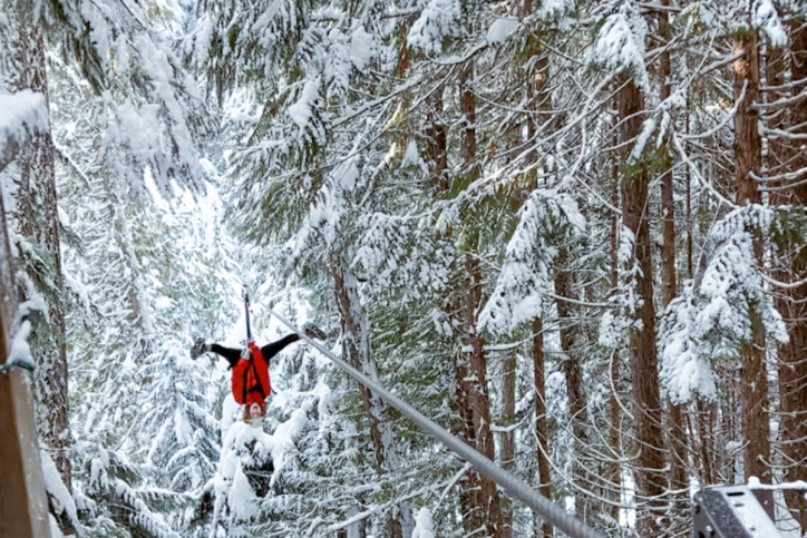 Plan Your Ultimate Winter Zipline Adventure in Whistler